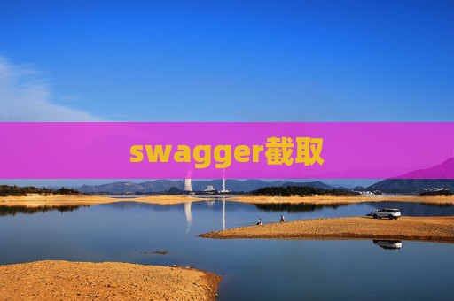 swagger截取